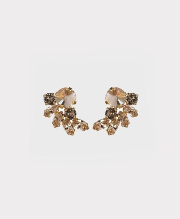 Earrings new